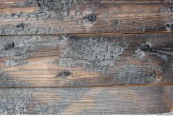Photo Texture of Wood Burned